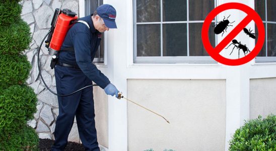 Sivrice Kene İlaçlama böcek ilaçlama ve haşere kontrolü — ilaclama-tr.com